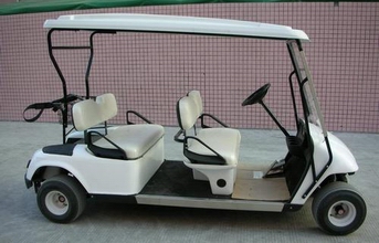  Electric Golf Cart