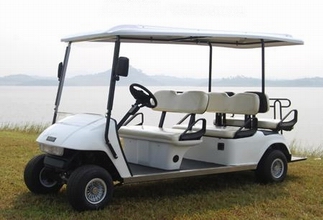  Electric Golf Cart