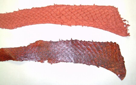 Suede or Glazed Leather Fish Skins in Dyed Color