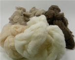 Cashmere fibre, camel hair