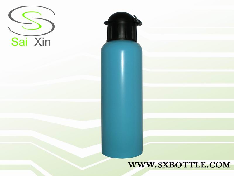 stainless steel water bottle