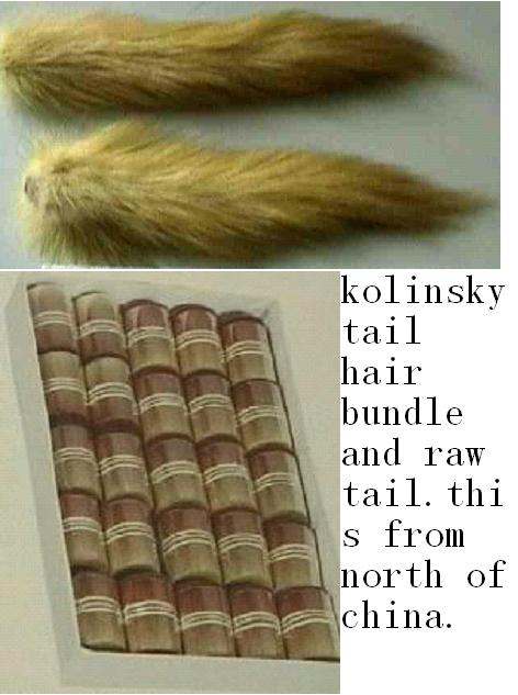 kolinsky hair