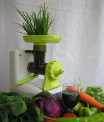 Wheat Grass Juicer