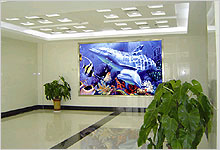 Virtual P12 LED display for indoor