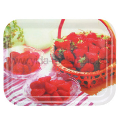 Melamine Tray with Handle