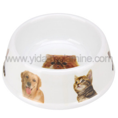 Plastic Dog Bowl