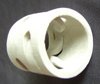 CERAMIC pall ring