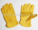 Driver's Gloves 