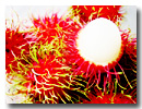 Fresh Fruits: Mangosteen, Rambutan, Longan, Drago