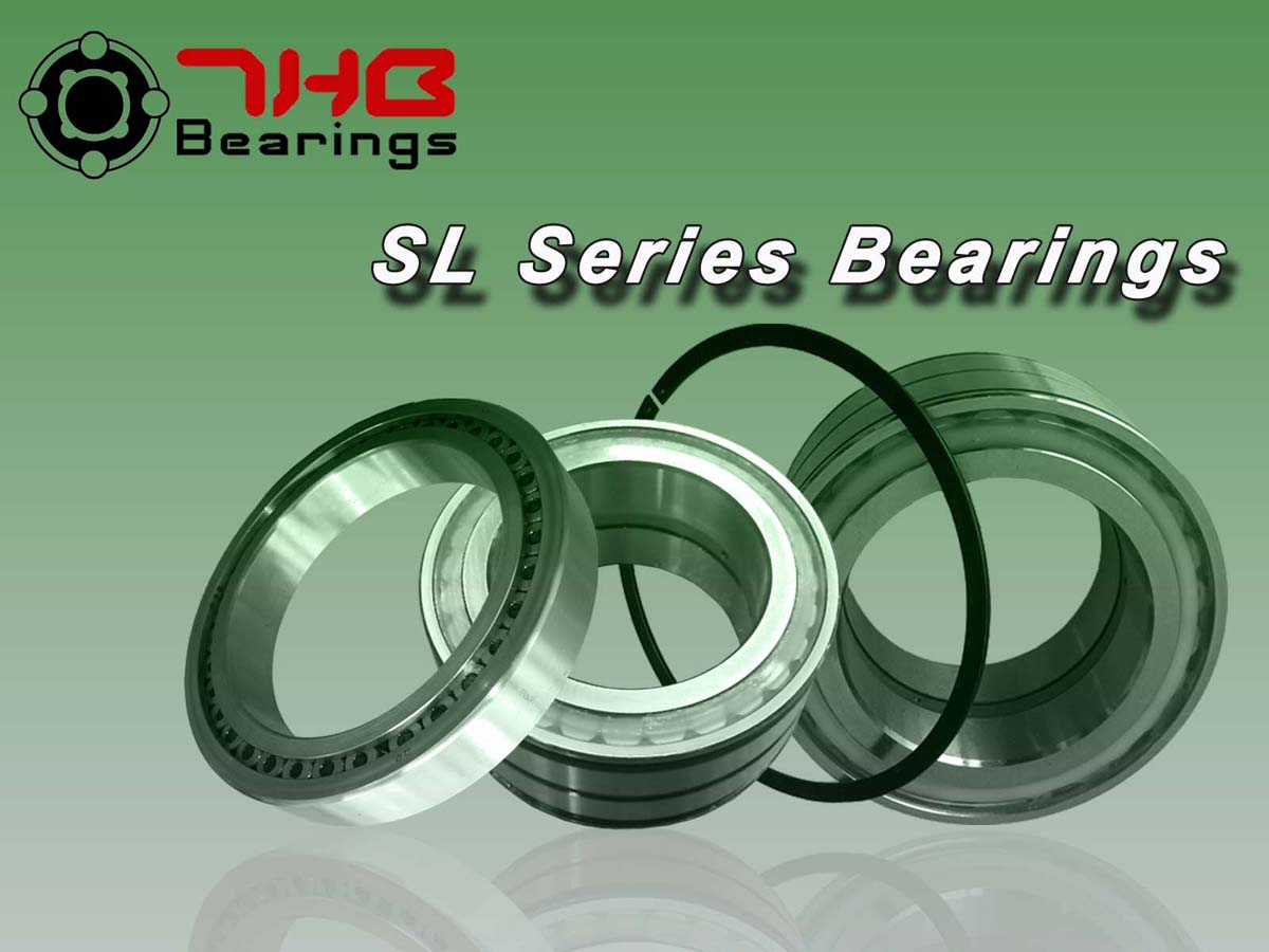 SL0450PP double row cylindrical roller bearing