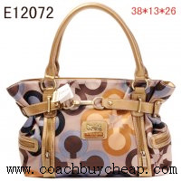 Fashion Coach Handbags