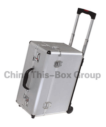 Flight case,aluminum travel case(T-BH003)