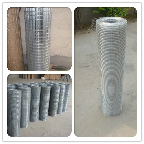 hardware cloth,welded mesh