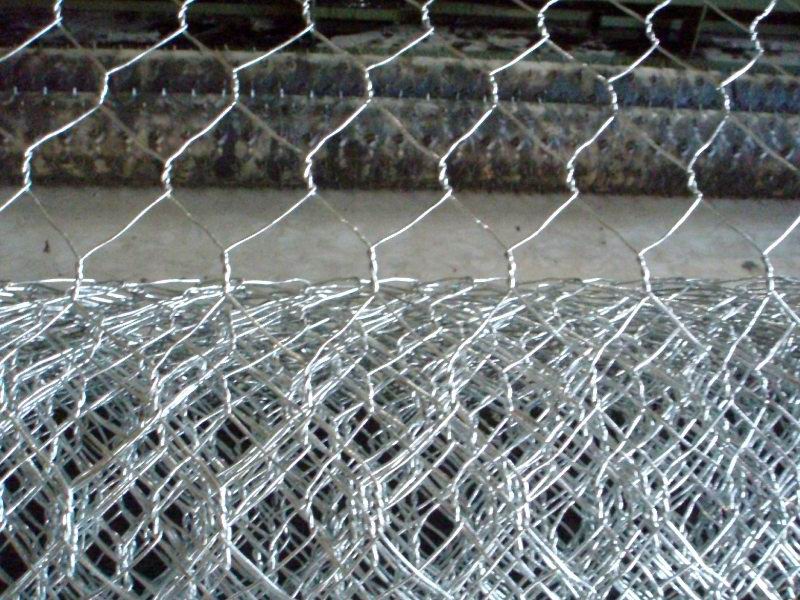 hexagonal wire mesh