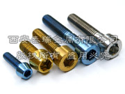 Titanium Fastener,Titanium Bolt,Titanium Nut,Titan