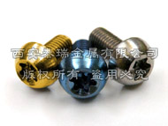 Titanium Torx Bolt