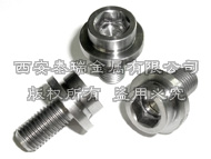 titanium crank bolt