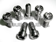 Titanium Brake bolt