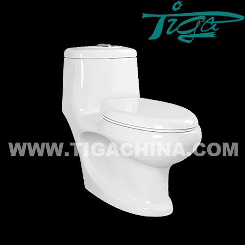 Washdown One-piece Toilet