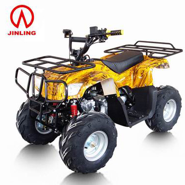 Motor Air Cool ATV Quad