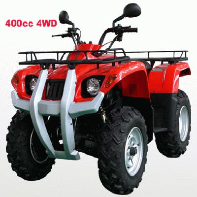 Automatic Clutch EEC ATV