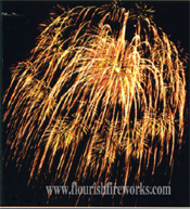 Undertake Fireworks Displays