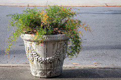 fiberglass planter