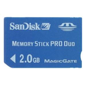 Memory card -- Pro Duo