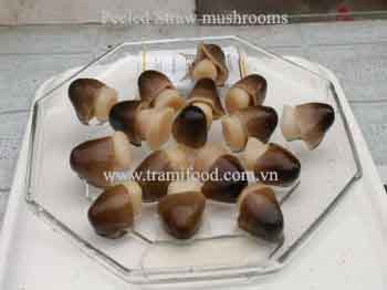 Straw Mushrooms