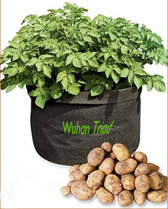 Potato planter bag