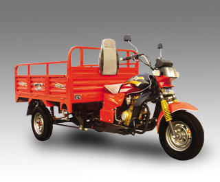 Carrier Tricycle KN125zh