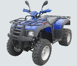 TS300B EEC ATV 