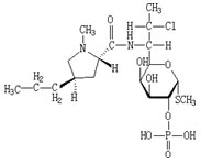 clindamycin phosphate