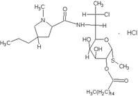 Clindamycin Palmitate Hydrochloride 