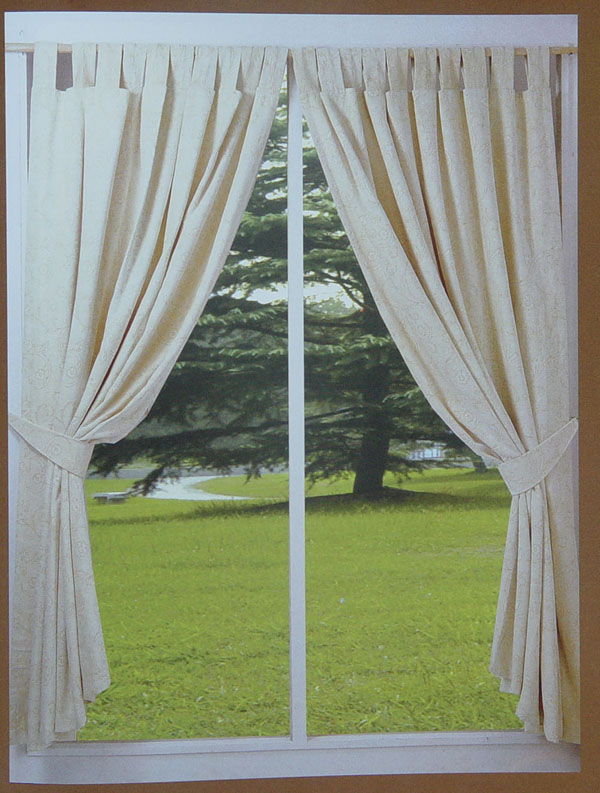 Curtain