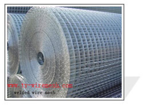 welded wire mesh 