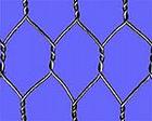  hexgonal mesh 