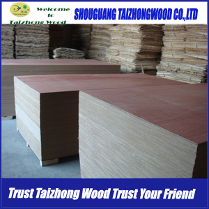 Commercial Plywood