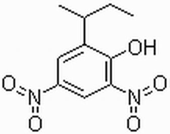 4,6-Dinitro-2-sec-butylphenol/DNBP