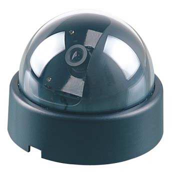 Dome CCD Camera