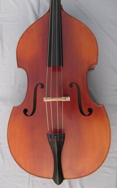 student double bass