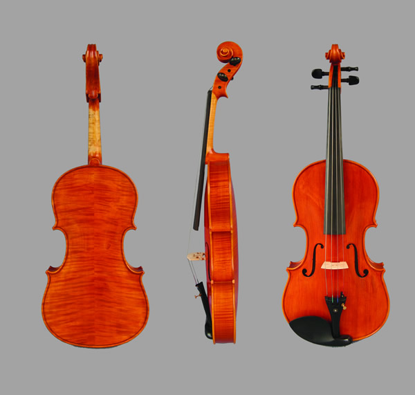 professional viola