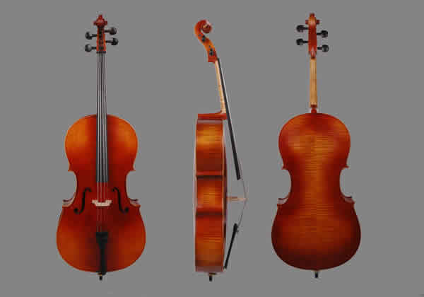 professional cello 