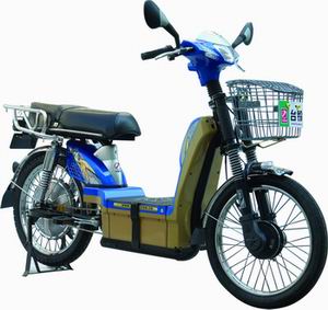 TDL266Z electric bike