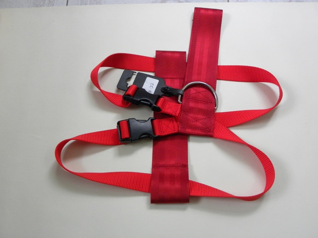 Pet safety harness