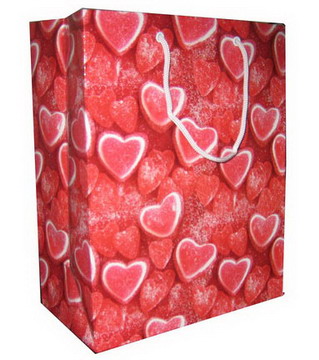 Paper Gift Bag