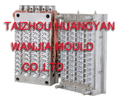 pet preform mould