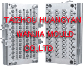 pet preform mould