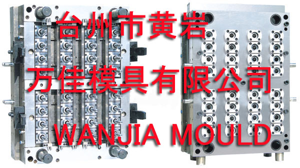 pet preform mould