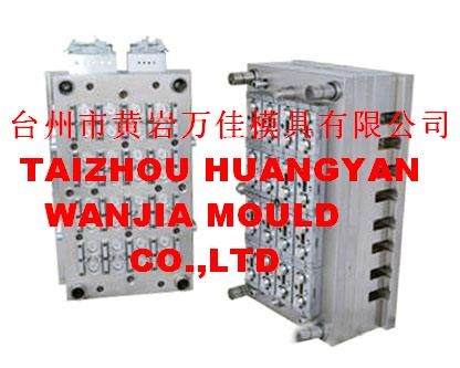 pet preform mould